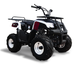 Квадроцикл Omaks ATV SP 302