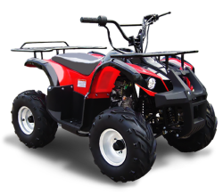 Квадроцикл Omaks ATV SP 206