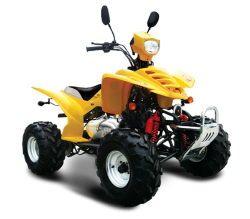 Квадроцикл Omaks XY150ST-1