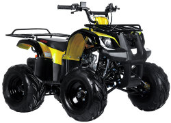 Квадроцикл IRBIS ATV125Um