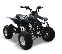 Квадроцикл Omaks ATV SP 303